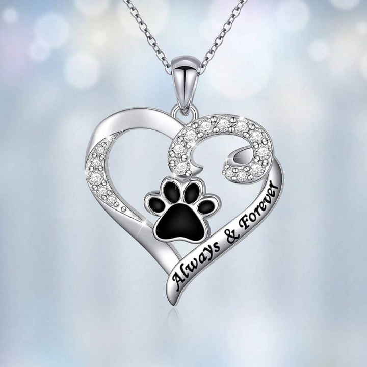 Collier avec Patte de Chien du Cœur Délicat en Acier Inoxydable