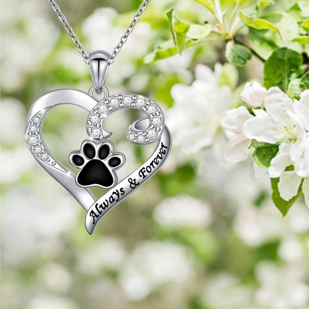 Collier avec Patte de Chien du Cœur Délicat en Acier Inoxydable