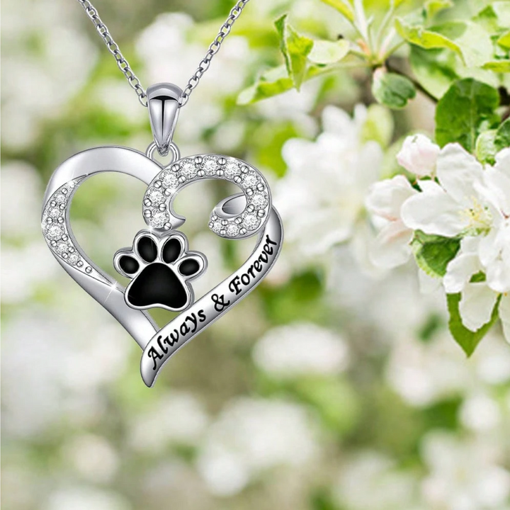 Collier avec Patte de Chien du Cœur Délicat en Acier Inoxydable